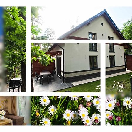 Daisy - Sunny Flowers Apartments Lukecin Ngoại thất bức ảnh