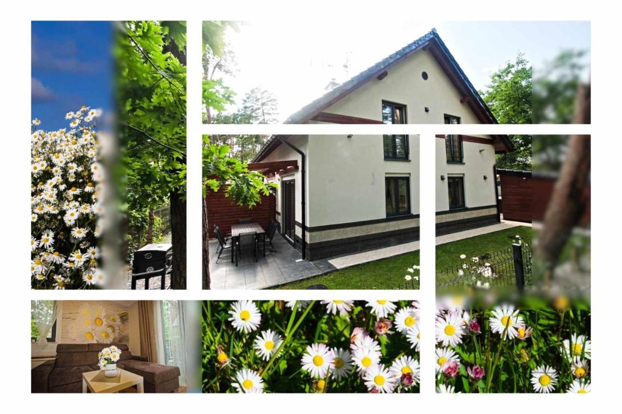 Daisy - Sunny Flowers Apartments Lukecin Ngoại thất bức ảnh